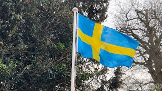 Sveriges Flagga (Sweden) Swedish Flag Waving 🇸🇪