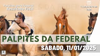 Palpite Federal Jogo do Bicho do dia 11/01/2025 - Resultado Fácil