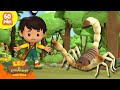 ¡CUIDADO CON LA PICADURA VENENOSA DEL ALACRÁN 🦂 | Peligros Mortales | Leo, El Explorador | Animación