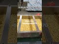 Kurkure making machine/Niknak/Cheetos production line #factory #machine #food WhatsApp+8618963065070