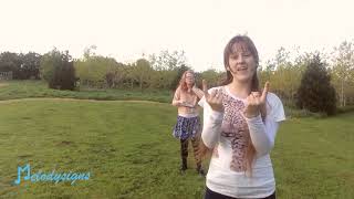 Try Everything (Shakira) - Melodysigns