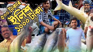 ৫০০ শত টাকার ইলিশ ১০০০ টাকায় বিক্রি | ভন্ডেশ্বর হাট | আউলিয়াবাদ হাট | কালিহাতী টাঙ্গাইল