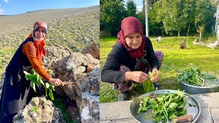 1 YIL SONRA KAYA ARASINDA ŞİFA YEMEĞİ | NENEMİN KÖY EVİ