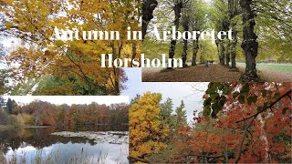 (4K) THE ARBORETUM IN HØRSHOLM