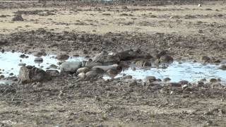 What's Draining the Great Lakes?