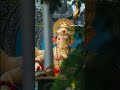 #jaiganesh #shorts #viralvideo #ganesh #all in one #jaishreeram