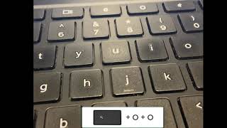 Use Chromevox as a Screen Reader