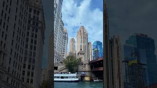 chicago in the summer 🌞 #chicago #illinois #lakemichigan #downtown #skyscraper #summer #sunset