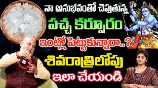 పచ్చ కర్పూరం ఇంట్లో  పెట్టుకున్నారా..? శివరాత్రిలోపు ఇలా చేయండి | Nanaji Patnaik About PachaKarpuram