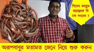 শীতের মরসুমে বায়োফ্লকে কোন কোন মাছের চাষ কি ভাবে করবেন জেনে নিয়ে এখনি শুরু করুন ৷ অরূপবাবুর মতামত ৷