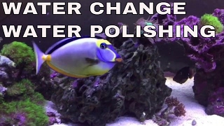 How To Polish Saltwater Aquarium Water