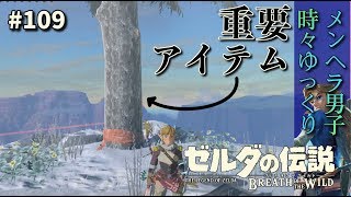 【ゼルダの伝説BotW実況】おっきなお山のおっきな木とミョス・シノの祠を攻略！-#109-【ブレスオブザワイルド】