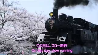 さくらとSL真岡鐵道北真岡駅付近 Cherry Blossoms and SL Moka Tetsudo