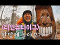 중부 유럽 라인강의 기적, 독일 라인슈타이그를 걷다! (풀버전)