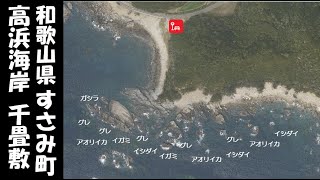 【和歌山県すさみ町】『高浜海岸 千畳敷』の海釣りガイド