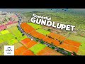 Gundlupete The Flower Farms of Karnataka | Gopalaswamy Betta | 4K Drone Video