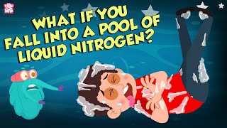 What If You Fall Into A Pool Of Liquid Nitrogen? | Hypothermia | Dr Binocs Show | Peekaboo Kidz