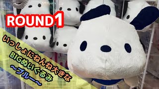 【ポチャッコ】「いっしょにねんね大きなBIGぬいぐるみ～ブルー～」で沼りました。ブラックキャットストリートシリーズのNG集もあるよ【クレーンゲーム】#42