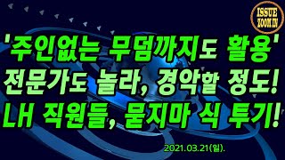 '주인없는 무덤까지도 활용' 전문가도 놀라, 경악할 정도! LH 직원들, 묻지마 식 투기!