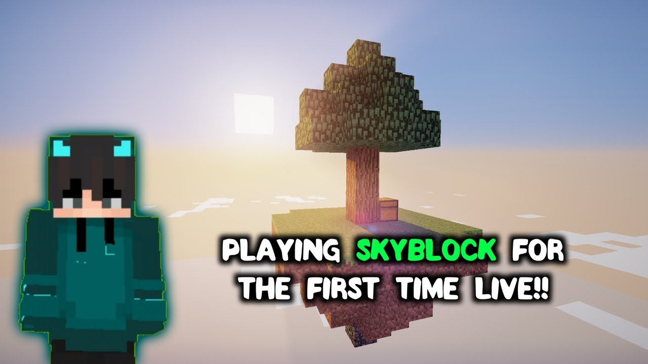 Playing Skyblock For The First Time On Live Stream Skyblock 1