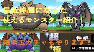 【ドラクエウォーク】次回グランプリに向けて！最近仲間になった使えるモンスター紹介！継承玉ガチャもやります！