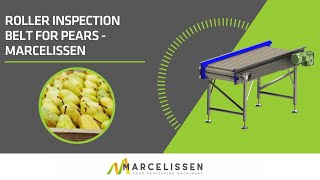 Roller Inspection Belt for Pears - Marcelissen