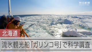 観光だけじゃない、「ガリンコ号」流氷の海で科学調査