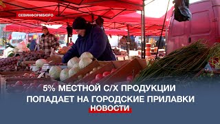 Всего 5% севастопольской сельхозпродукции попадает на городские прилавки