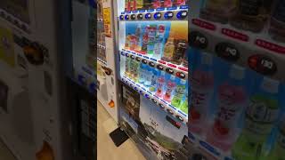 道の駅で喋る自動販売機で買ってみた