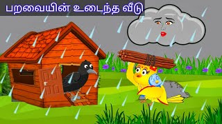 struggle of mother bird during heavy rain season /moral story in tamil /village birds cartoon