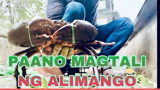 PAANO MAGTALI NG ALIMANGO/HOW TO TIE A MUDCRAB