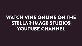 Vine Online 2020 Recap Video