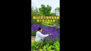 四个镜头教会你拍大片#零基础学拍摄剪辑 #在这遇见紫色花海 #短视频创业 #原创视频 #短视频制作教程 @抖音创作者中心 @抖音小助手#视频拍摄教程#短视频剪辑