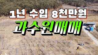 637,경북 봉화군 물야면 오록리,1년수입,8천만원,과수원,매매,