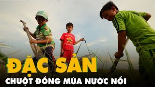 Đi săn đặc sản chuột đồng mùa nước nổi miền Tây