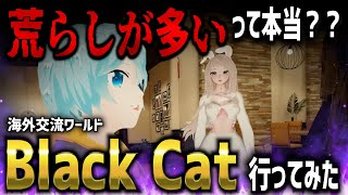 【実際どんなもんなの？？】荒らしとキッズが多いと噂の海外交流ワールド「Black Cat」に行ってきた【VRChat World】