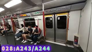 (舊地重遊#2)MTR TWL A243/A244(A244)荃灣➡️美孚(下行方向行车纪录)