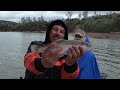 catch america collins lake trout action u0026 report with cal kellogg