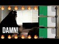 노엘 (NO:EL) - Damn! (Feat. 블랙넛) [DOUBLEONOEL] | REACTION!