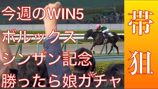 【WIN5】シンザン記念2023 WIN5徹底攻略　〜ボルックスS、シンザン記念ほか全レースを徹底予想‼️〜