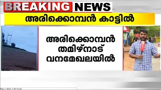 പെരിയാർ വന്യജീവി സങ്കേതത്തിൽ തുറന്നുവിട്ട അരിക്കൊമ്പൻ തമിഴ്നാട് വനമേഖലയിൽ തന്നെ തുടരുന്നു