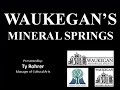 Waukegan's Mineral Springs