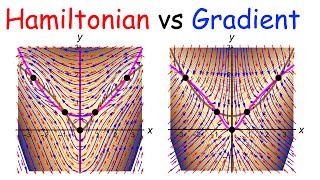 Cooperating Species Model, Hamiltonian Systems \u0026 Gradient Systems, Hamiltonian \u0026 Potential Functions