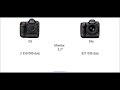 nikon d5 vs nikon d4s