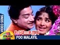 Ooty Varai Uravu Tamil Movie Songs | Poo Malayil Video Song | Sivaji Ganesan | KR Vijaya