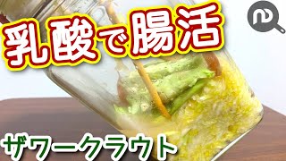 【ザワークラウトの作り方】　キャベツを使って乳酸発酵で腸活効果！サンドイッチにも　作り置きレシピ　N.D.Kitchen