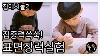 [후후네 집에서 놀기] 집중력이 쑥쑥! 동전위에 표면 장력 실험!