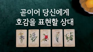 [타로] 곧 나에게 호감표시할 상대💘 관계성, 속마음, 특징, 시기 🎈