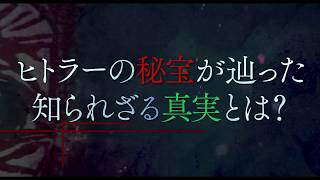 映画『ヒトラーVS.ピカソ　奪われた名画のゆくえ』予告編