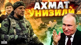 🍿Это надо видеть! Ахмат против зетников: цепные псы Путина жарко собачатся. Алаудинова опустили